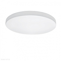 Настенно-потолочный светильник Lightstar Arco 225262