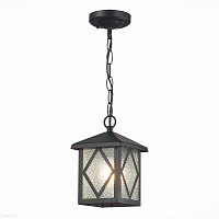 Светильник уличный подвесной ST Luce LORNE SL084.403.01