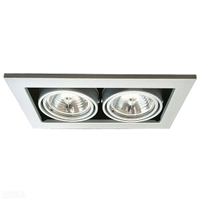 Встраиваемый светильник Arte Lamp TECHNIKA A5930PL-2SI