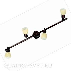 Спот CITILUX Ронда CL506544
