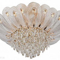 Потолочная хрустальная люстра Odeon Light PAROTI 5048/11