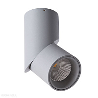 Накладной светодиодный светильник Arte Lamp ORIONE A7717PL-1GY