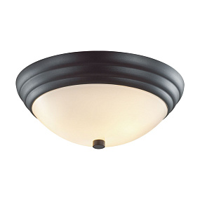 Настенно-потолочный светильник LUMION KAYLA 5263/2C
