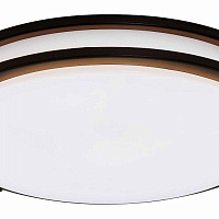 Потолочный светильник CITILUX Бостон CL709505N