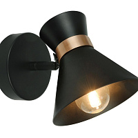 Спот Arte Lamp Baltimore A1406AP-1BK