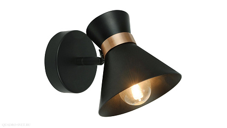 Спот Arte Lamp Baltimore A1406AP-1BK