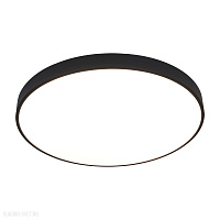 Потолочный светодиодный светильник Arte Lamp ARENA A2673PL-1BK