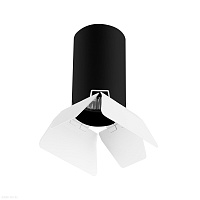 Накладной светильник Lightstar Rullo R437436