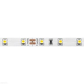 Светодиодная лента 4,8W 3000K 400Lm IP20 24V ST Luce ST016.305.20