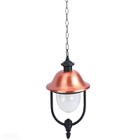 Подвесной уличный светильник Arte Lamp BARCELONA A1485SO-1BK