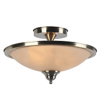 Потолочный светильник Arte Lamp SAFARI A6905PL-2AB