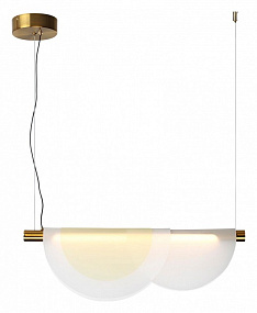 Подвесной светодиодный светильник Odeon Light COLLE 4358/20L