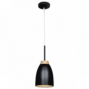 Подвесной светильник LOFT IT Watchman LOFT4402A-BL
