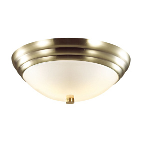 Настенно-потолочный светильник LUMION KAYLA 5262/2C