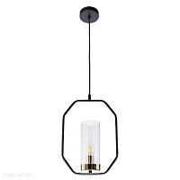 Подвесной светильник Arte Lamp CELAENO A7004SP-1BK