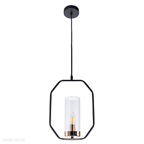 Подвесной светильник Arte Lamp CELAENO A7004SP-1BK