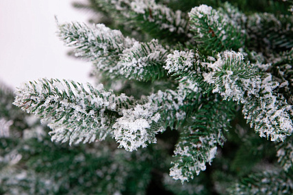 Ель CRYSTAL TREES ШОТЛАНДИЯ в снегу 180 см. KP4018S