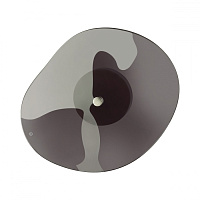 Настенный светодиодный светильник Odeon Light FLUENT 4859/5WL