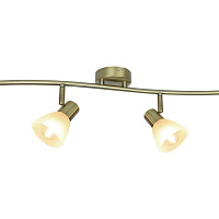 Спот Arte Lamp Parry A5062PL-4AB