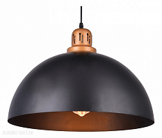Подвес Arte Lamp EURICA A4249SP-1BK