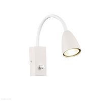 Светильник настенный ST LUCE AMIO SL1014.501.01