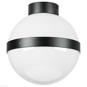 Потолочный светильник Lightstar Globo 812117