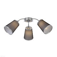 Потолочная люстра EVOLUCE MALEONTE SLE103002-03