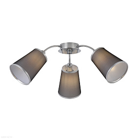 Потолочная люстра EVOLUCE MALEONTE SLE103002-03