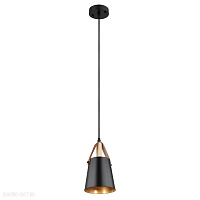 Подвесной светильник Arte Lamp THOMAS A7032SP-1BK