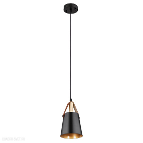 Подвесной светильник Arte Lamp THOMAS A7032SP-1BK