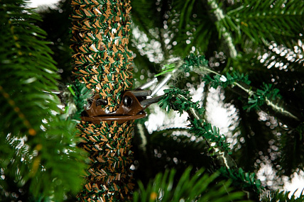 Ель CRYSTAL TREES ПАУЛИСТА 215 см. KP24215