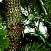Ель CRYSTAL TREES ПАУЛИСТА 215 см. KP24215