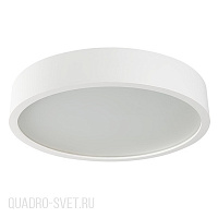 Потолочный светильник Kanlux JASMIN 23128