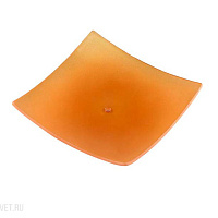 Декоративное стекло для светильников серии 110234 Donolux Glass A orange Х C-W234/X
