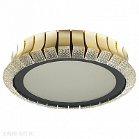Потолочная светодиодная люстра Odeon Light ASTURO 4994/75L
