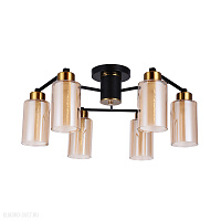 Потолочная люстра Arte Lamp LEO A7027PL-6BK