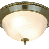 Потолочный светильник Arte Lamp PORCH A1305PL-2AB