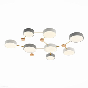 Потолочная светодиодная люстра EVOLUCE DOSSENA SLE600102-08