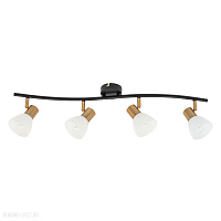 Спот Arte Lamp FALENA A3117PL-4BK