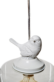 Подвес LOFT IT 1806 LOFT1806