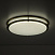 Потолочный светильник CITILUX Бостон CL709503N