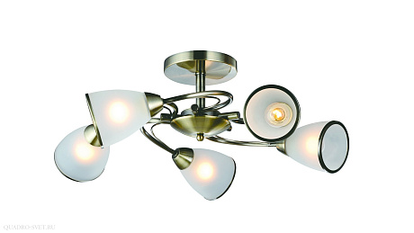 Люстра потолочная Arte Lamp INNOCENTE A6056PL-5AB