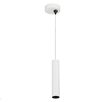 Подвесной светодиодный светильник Donolux DL18629-R1 S
