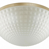 Потолочный светильник Odeon Light MALAGA 4936/4C