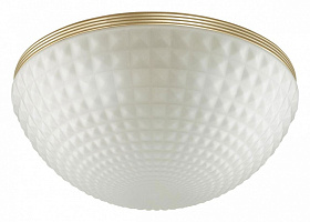 Потолочный светильник Odeon Light MALAGA 4936/4C