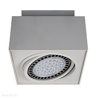Накладной светильник Zumaline BOXY CL 1 20074-WH