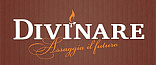 Divinare