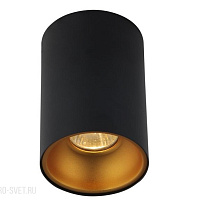 Накладной светильник Crystal Lux CLT 411C BL-GO