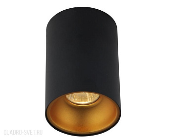 Накладной светильник Crystal Lux CLT 411C BL-GO