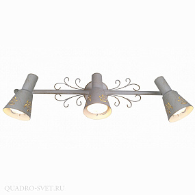 Спот CITILUX Дункан CL529532